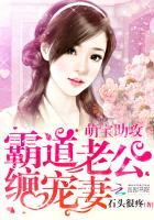 萌宝助攻：霸道老公缠宠妻 作者：石头很疼