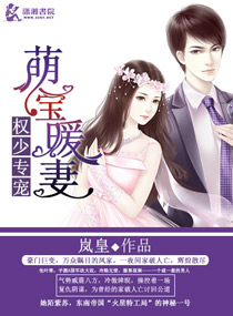 权少专宠之萌宝暖妻 作者：岚皇