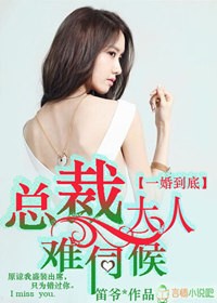 一婚到底，总裁大人难伺候 作者：笛爷