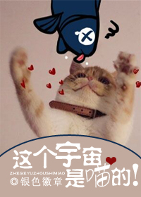 这个宇宙是喵的!