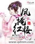 凤掩红妆txt下载