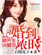 婚到浓时，顾先生说爱你txt下载