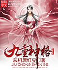 九重神格内 作者：辰机唐红豆
