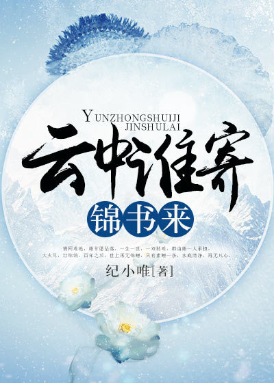 云中谁寄锦书来txt下载