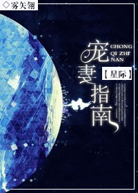 宠妻指南 作者：雾矢翊