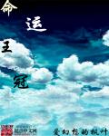 命运王冠txt下载