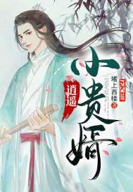 逍遥小贵婿李辰安txt下载