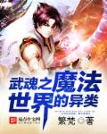 武魂之魔法世界的异类txt下载