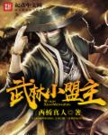武林小盟主txt下载