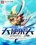 海贼王之天使果实 作者：君莫回头