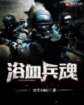 浴血兵魂 作者：丑牛1985
