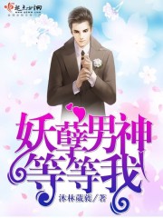 妖孽男神，等等我