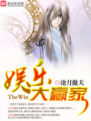 娱乐大赢家 作者：沧月傲天