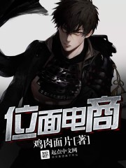 位面电商txt下载