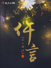 仵言 作者：呈心