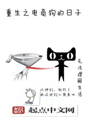 重生之电商狗的日子 作者：无法理解生活
